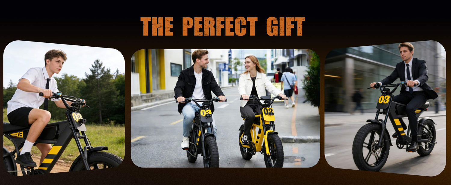Load video: Off Road Electric Bicycle Review Video